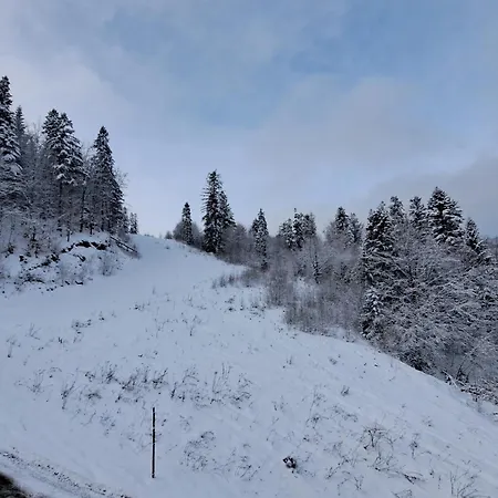 Owysoko - Z Widokiem 200 M Od Tras Mountain *