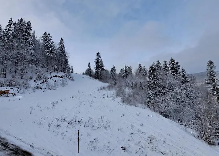 Owysoko - Z Widokiem 200 M Od Tras Mountain *